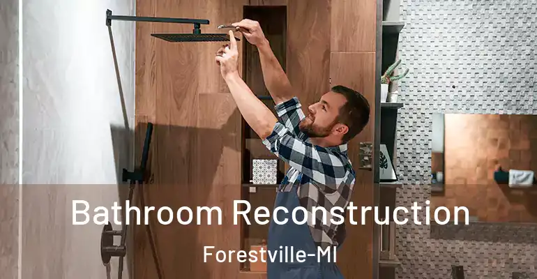 inner Bathroom imggen Bathroom Reconstruction Forestville-MI