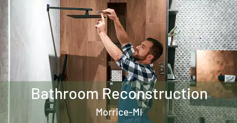 inner Bathroom imggen Bathroom Reconstruction Morrice-MI