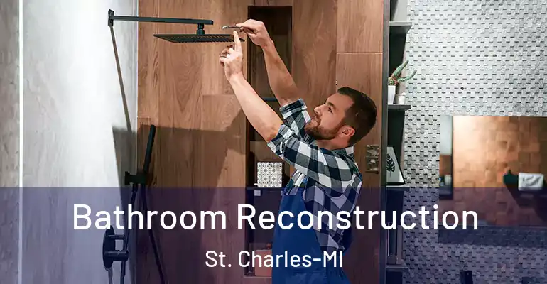 inner Bathroom imggen Bathroom Reconstruction St. Charles-MI