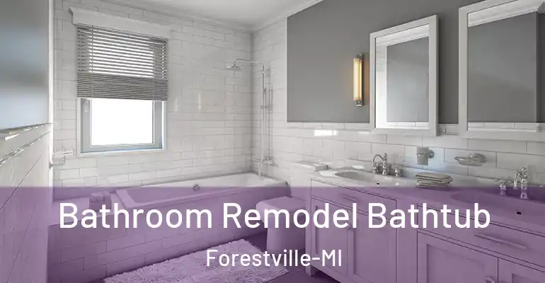 inner Bathroom imggen Bathroom Remodel Bathtub Forestville-MI
