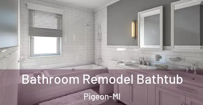 inner Bathroom imggen Bathroom Remodel Bathtub Pigeon-MI