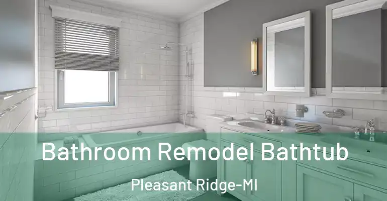 inner Bathroom imggen Bathroom Remodel Bathtub Pleasant Ridge-MI