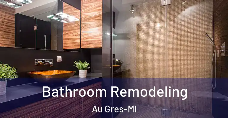 inner Bathroom imggen Bathroom Remodeling Au Gres-MI
