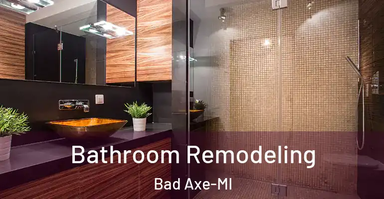 inner Bathroom imggen Bathroom Remodeling Bad Axe-MI