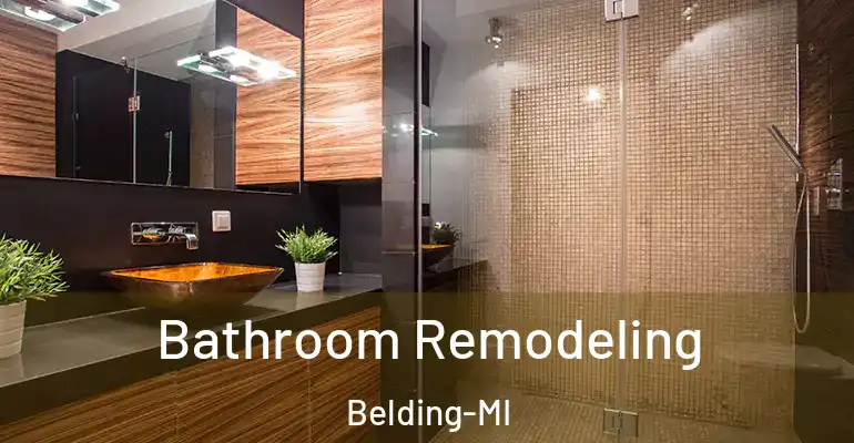 inner Bathroom imggen Bathroom Remodeling Belding-MI