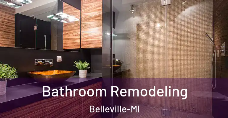 inner Bathroom imggen Bathroom Remodeling Belleville-MI