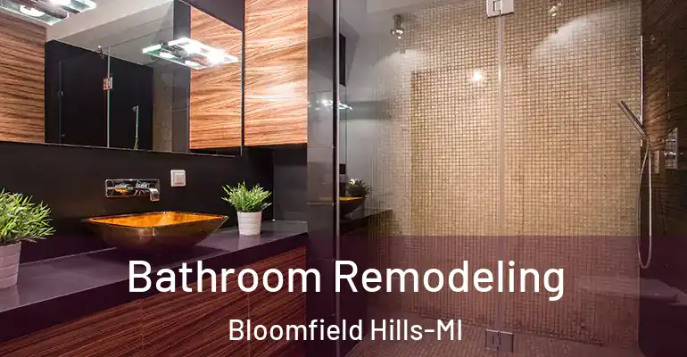 inner Bathroom imggen Bathroom Remodeling Bloomfield Hills-MI