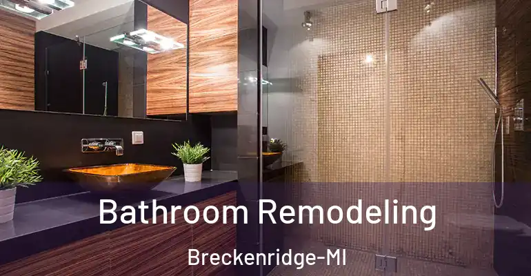 inner Bathroom imggen Bathroom Remodeling Breckenridge-MI