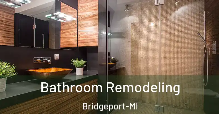 inner Bathroom imggen Bathroom Remodeling Bridgeport-MI