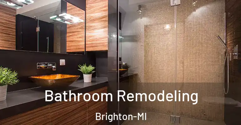 inner Bathroom imggen Bathroom Remodeling Brighton-MI
