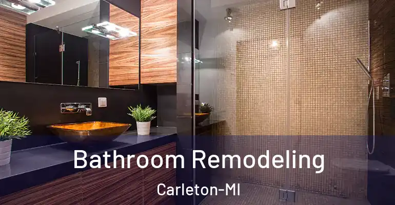 inner Bathroom imggen Bathroom Remodeling Carleton-MI