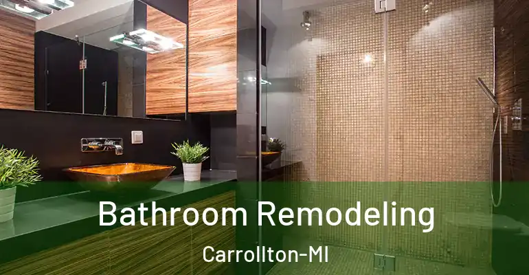 inner Bathroom imggen Bathroom Remodeling Carrollton-MI