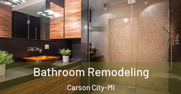 inner Bathroom imggen Bathroom Remodeling Carson City-MI