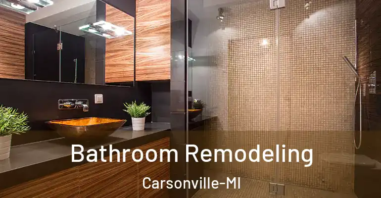 inner Bathroom imggen Bathroom Remodeling Carsonville-MI