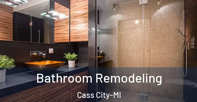 inner Bathroom imggen Bathroom Remodeling Cass City-MI