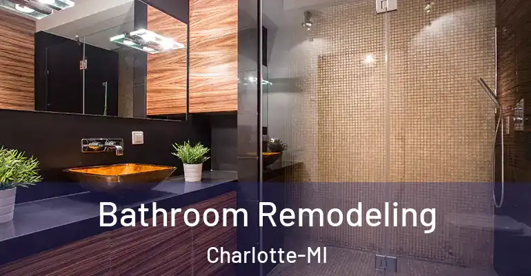 inner Bathroom imggen Bathroom Remodeling Charlotte-MI