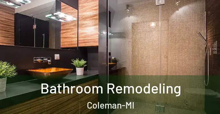 inner Bathroom imggen Bathroom Remodeling Coleman-MI