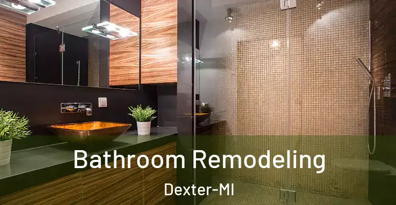 inner Bathroom imggen Bathroom Remodeling Dexter-MI