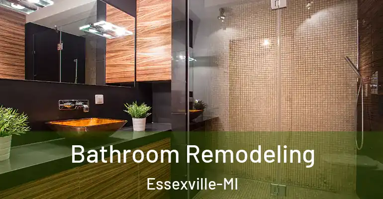 inner Bathroom imggen Bathroom Remodeling Essexville-MI