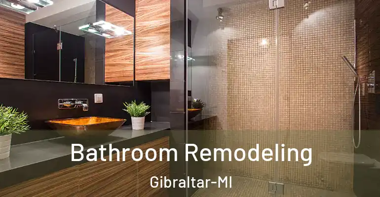 inner Bathroom imggen Bathroom Remodeling Gibraltar-MI