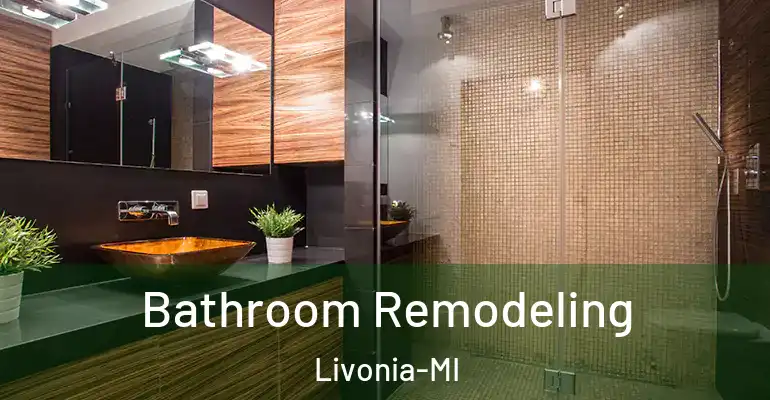 inner Bathroom imggen Bathroom Remodeling Livonia-MI