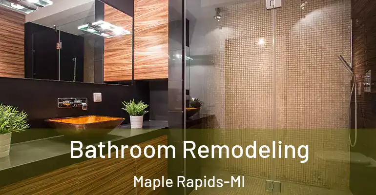 inner Bathroom imggen Bathroom Remodeling Maple Rapids-MI