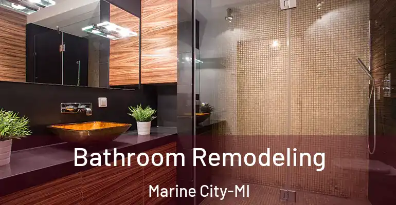 inner Bathroom imggen Bathroom Remodeling Marine City-MI