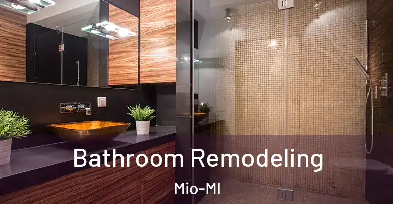 inner Bathroom imggen Bathroom Remodeling Mio-MI