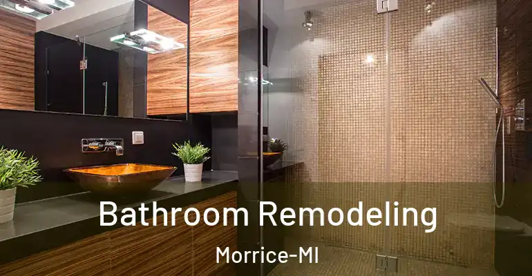 inner Bathroom imggen Bathroom Remodeling Morrice-MI