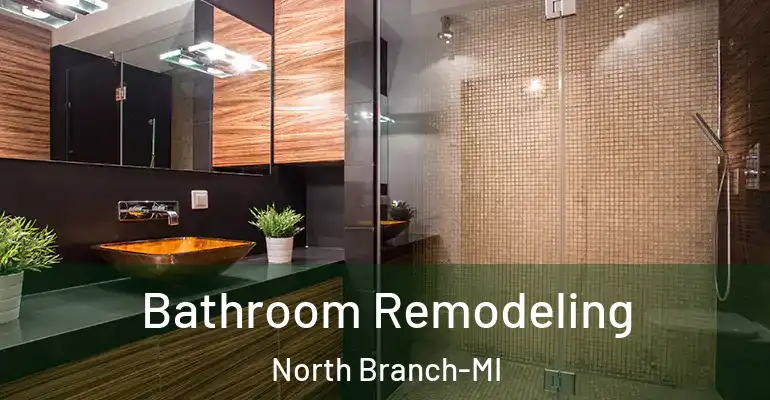 inner Bathroom imggen Bathroom Remodeling North Branch-MI