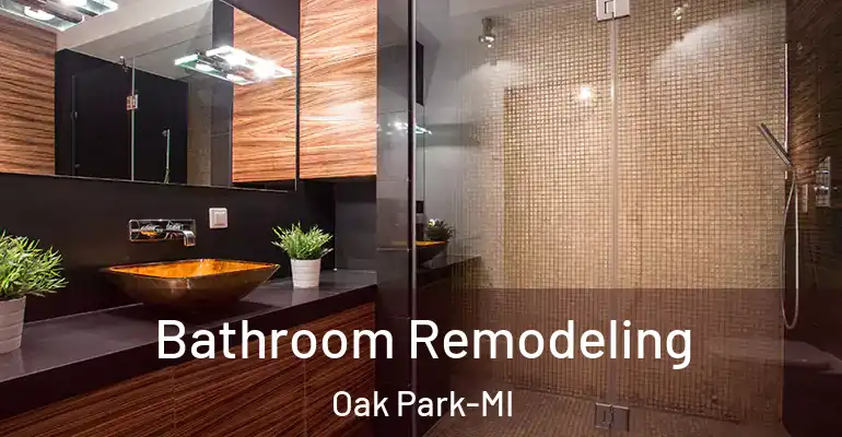 inner Bathroom imggen Bathroom Remodeling Oak Park-MI
