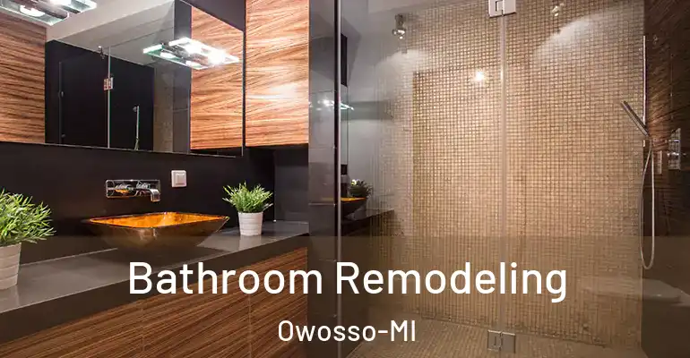 inner Bathroom imggen Bathroom Remodeling Owosso-MI