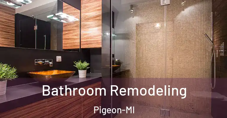 inner Bathroom imggen Bathroom Remodeling Pigeon-MI