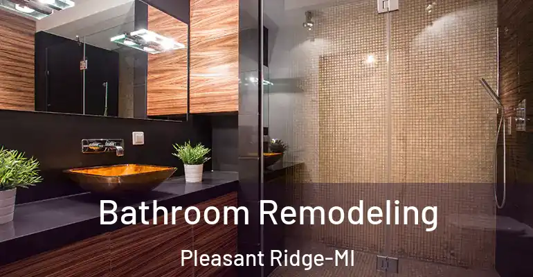 inner Bathroom imggen Bathroom Remodeling Pleasant Ridge-MI