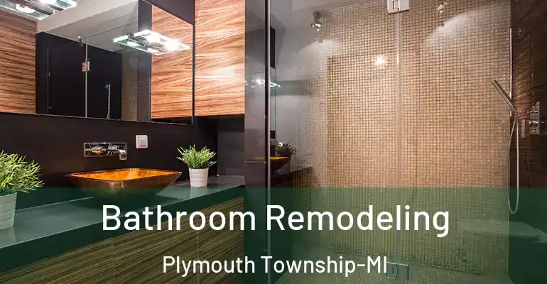 inner Bathroom imggen Bathroom Remodeling Plymouth Township-MI