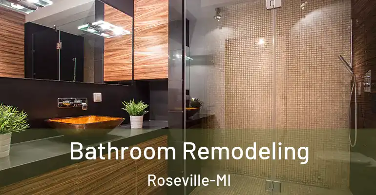 inner Bathroom imggen Bathroom Remodeling Roseville-MI