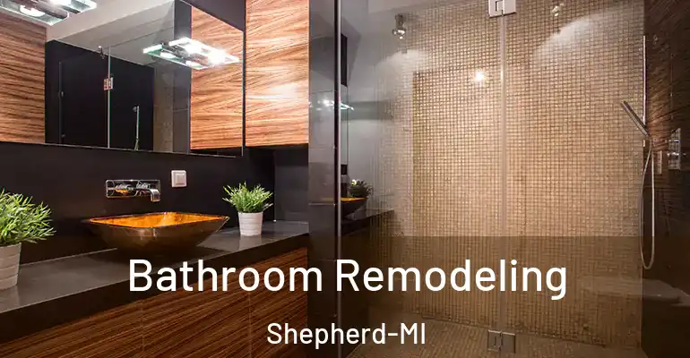 inner Bathroom imggen Bathroom Remodeling Shepherd-MI