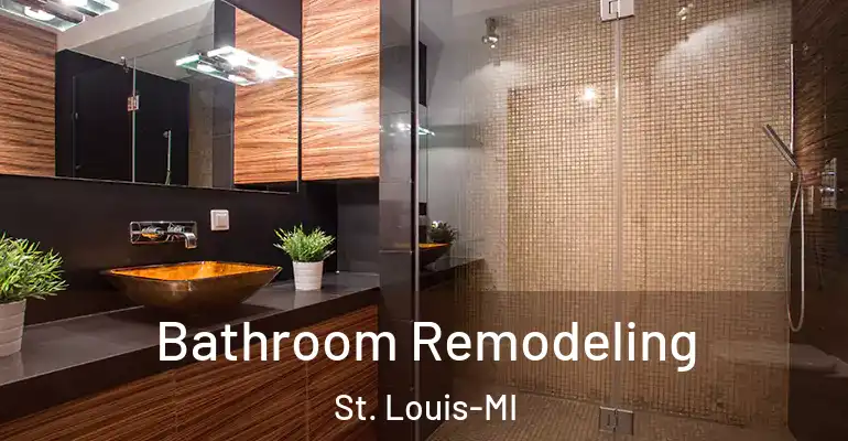 inner Bathroom imggen Bathroom Remodeling St. Louis-MI