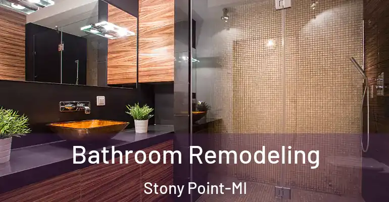 inner Bathroom imggen Bathroom Remodeling Stony Point-MI