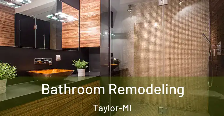 inner Bathroom imggen Bathroom Remodeling Taylor-MI
