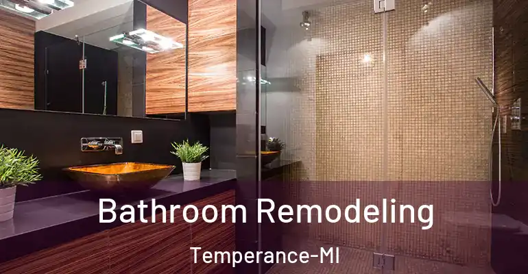 inner Bathroom imggen Bathroom Remodeling Temperance-MI