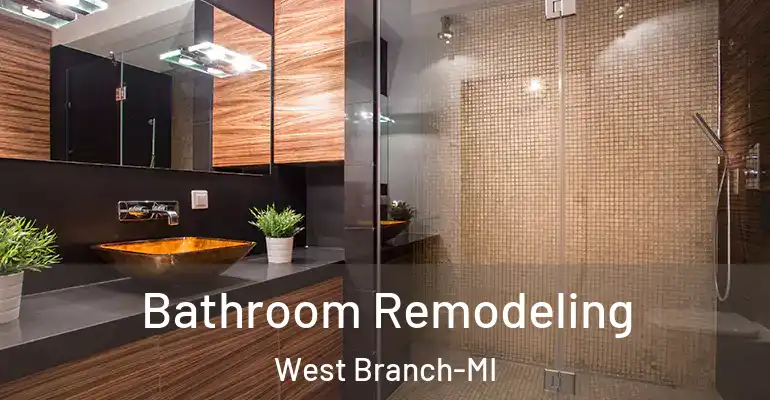 inner Bathroom imggen Bathroom Remodeling West Branch-MI