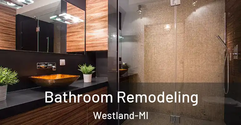 inner Bathroom imggen Bathroom Remodeling Westland-MI