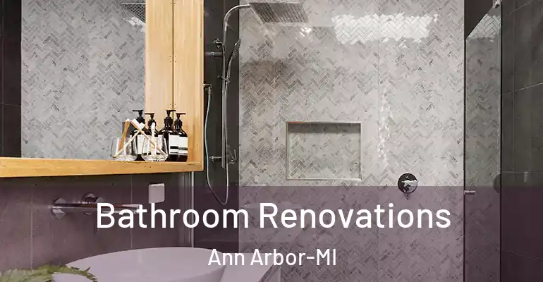 inner Bathroom imggen Bathroom Renovations Ann Arbor-MI