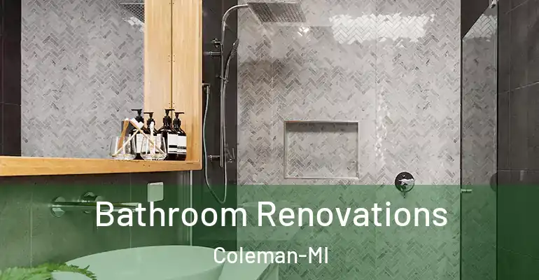 inner Bathroom imggen Bathroom Renovations Coleman-MI