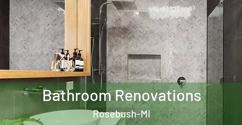 inner Bathroom imggen Bathroom Renovations Rosebush-MI