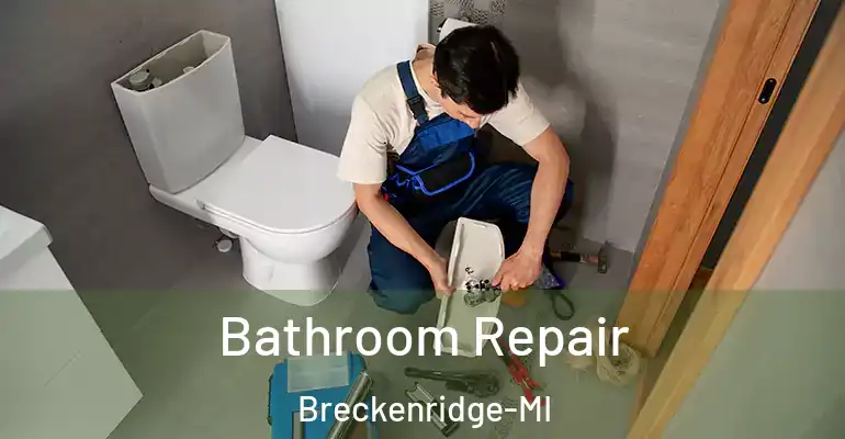 inner Bathroom imggen Bathroom Repair Breckenridge-MI