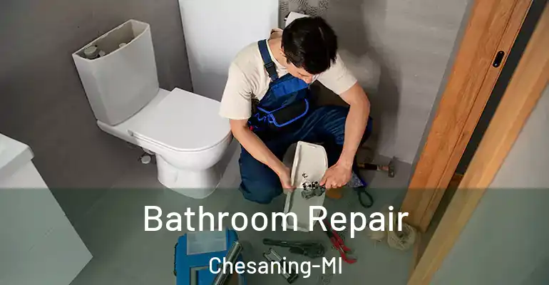 inner Bathroom imggen Bathroom Repair Chesaning-MI