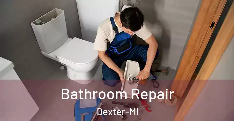 inner Bathroom imggen Bathroom Repair Dexter-MI