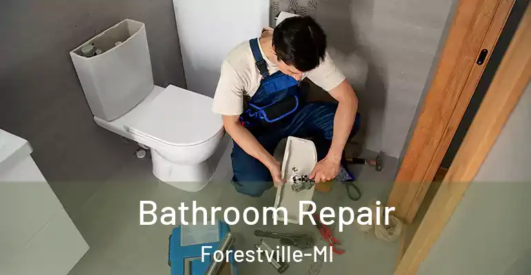 inner Bathroom imggen Bathroom Repair Forestville-MI